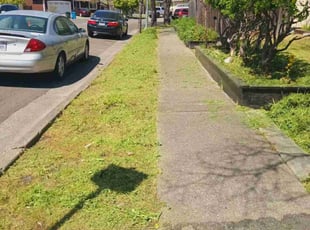 Cleanups by Andre Mitchell for Jessica H. in Santa Rosa, CA