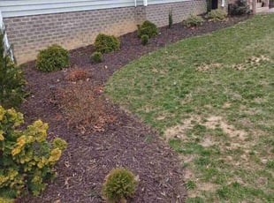 Weeding by Ronald Fogg for Gretta B. in Chesterfield, VA
