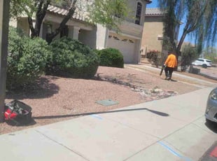 Bush Trimming by JONATHAN ESPINOZA for Aaron O. in Goodyear, AZ