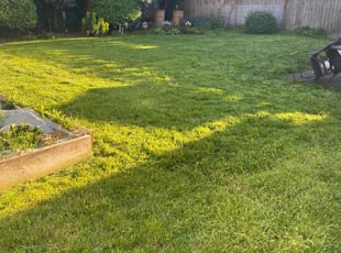 Sandra M.'s Lawn Service service result