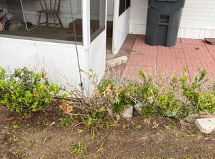 Bush Trimming by Johnny Richardson for John R. in Lake Wales, FL