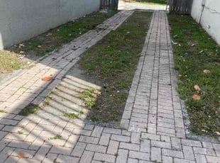 Cleanups by Charles Walton for Mark M. in West Palm Beach, FL