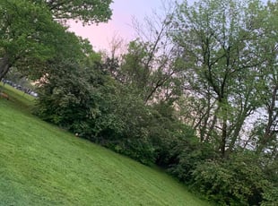 Joe z.'s Lawn Service service result