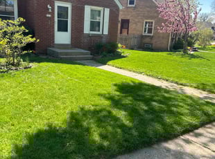 Kris D.'s Lawn Mowing Service service result