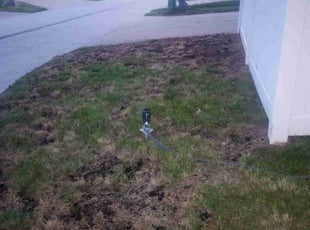 Mulching by Lori Bremenkamp for CK M. in North Kansas City, MO