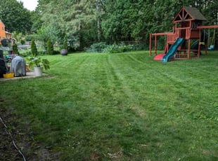Jim B.'s Lawn Mowing Service service result