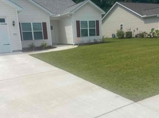 Dimitri P.'s Lawn Mowing Service service result