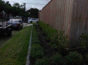 Weeding by Thomas Dilbeck for Will N. in Houston, TX