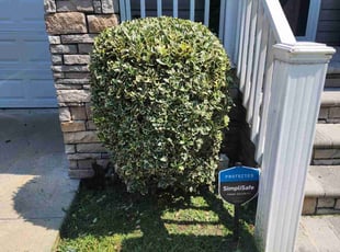 Bush Trimming by Jay M for Susan G. in Norfolk, VA