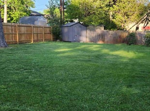 Alex D.'s Lawn Mowing Service service result