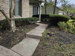 Bush Trimming by Leroy Green II for Tony C. in Westerville, OH
