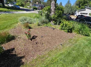 Weeding by Delbert Jones for Lizabeth L. in Boise, ID