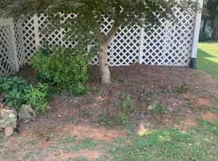 Cleanups by Jordan Guerrero for Jack S. in Marietta, GA