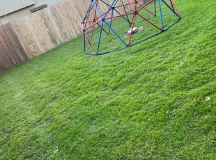 Laura D.'s Lawn Service service result