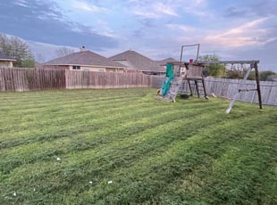 Myrna O.'s Grass Cutting service result