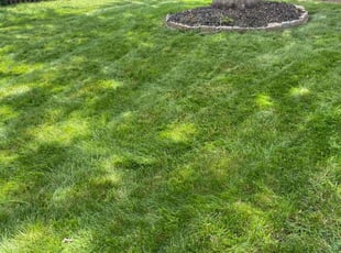 Cleanups by Neal S for Raquel B. in Centreville, VA