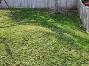 Kiana A.'s Lawn Service service result