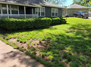 Leaf Removal by SaRon Smith for Regina D. in Kansas City, MO