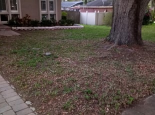 Cleanups by Timothy Wright for Anahi L. in Orlando, FL