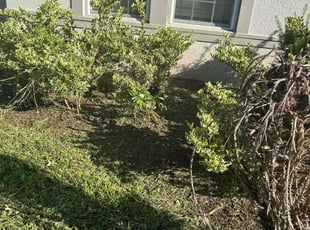 Leonardo S.'s Flower Bed Weeding service result