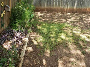 Leaf Removal by Marcus Resendes for Roberto G. in San Antonio, TX