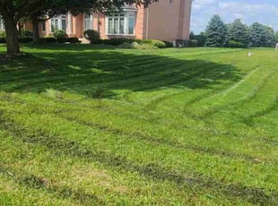Michael M.'s Lawn Care service result