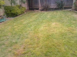 Cleanups by Jason Vizenor for Daimi R. in Sacramento, CA