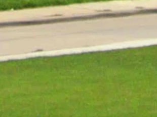 Jacqwan G.'s Flower Bed Weeding service result