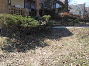 Bush Trimming by James Buchanan for Shirley E. in Kansas City, MO