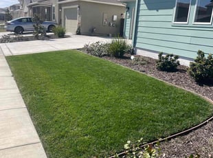 C B.'s Lawn Mowing Service service result