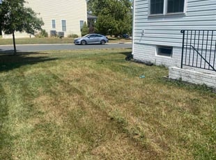Cleanups by Neal S for Mohammed A. in South Riding, VA