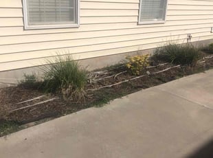 Weeding by Shawn Beardall for Shelley B. in Spanish Fork, UT