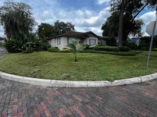 Hector C.'s Lawn Mowing service result