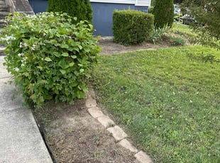 Weeding by Rachel Lewis for Ali O. in Baltimore, MD
