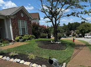 Adria H.'s Lawn Mowing service result