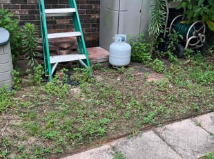 Weeding by Kenneth Lipsey for Beverly M. in Greenville, SC
