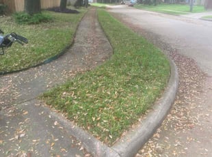 Leaf Removal by Rene Contreras for Deborah B. in Missouri City, TX