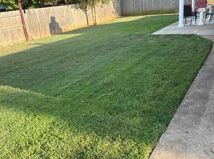 Marnie R.'s Lawn Maintenance service result