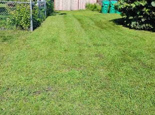 Ron S.'s Lawn Mowing service result