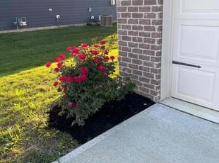Mulching by Dashaun Fykes for Amy L. in Fishers, IN