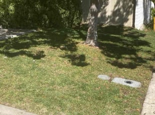 harold C.'s Lawn Maintenance service result