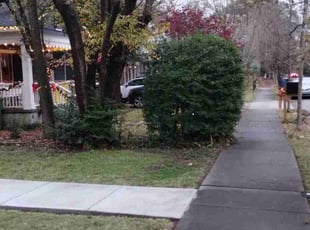 Bush Trimming by Antavious Douglas for Justin K. in Atlanta, GA