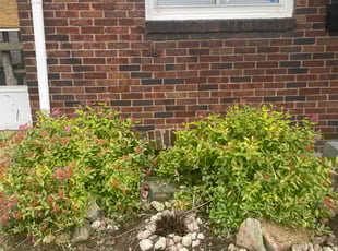 Landscaping by Lance Smith for Susan Z. in Pittsburgh, PA