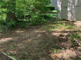 Leaf Removal by Randall Riffle Jr. for Roger S. in Columbus, OH