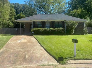 David A.'s Lawn Mowing service result