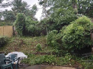 Landscaping by David Peters for Zulfan B. in Alexandria, VA