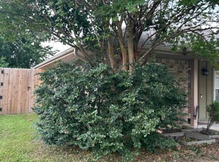 Bush Trimming by Jamal Knight for Krystine A. in Mary Esther, FL