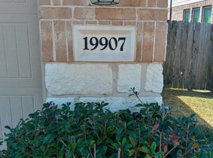 Weeding by Guillermo Olivares for Daniel P. in Cypress, TX