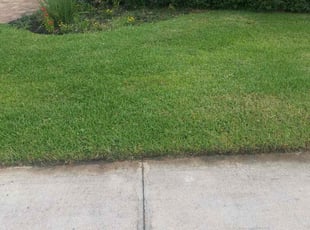 Mark T.'s Yard Cutting service result