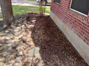 Bush Trimming by Jose Barrera for Nastasha W. in Missouri City, TX